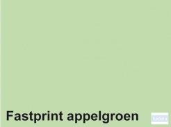 Kopieerpapier Quantore Colour A4 80gr appelgroen 500vel