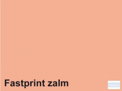 Kopieerpapier Quantore Colour A4 80gr zalm 500vel